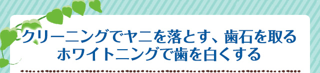 クリーニングでヤニを落とす、歯石を取るホワイトニング